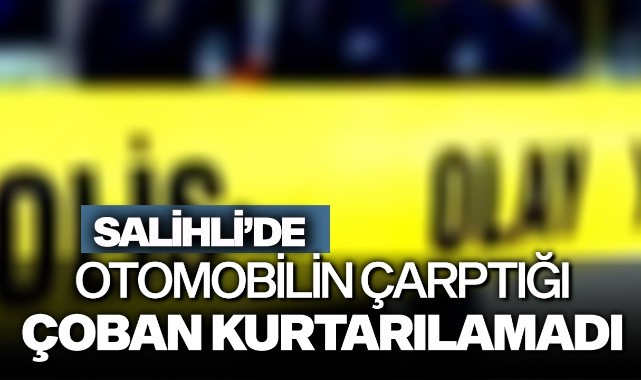 Salihli'de otomobilin çarptığı çoban kurtarılamadı