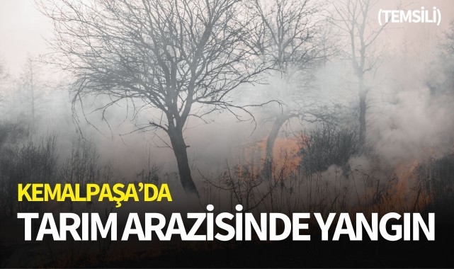 Sarıçalı'da tarım arazisinde yangın!