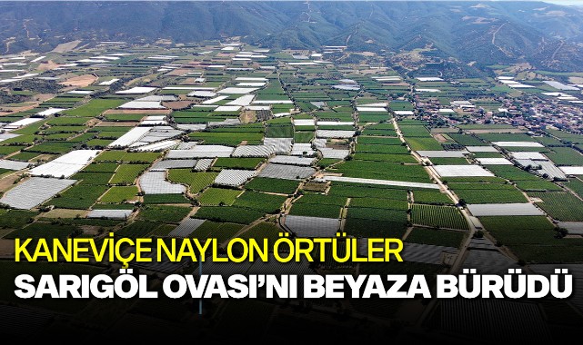 Sarıgöl Ovası beyaza büründü