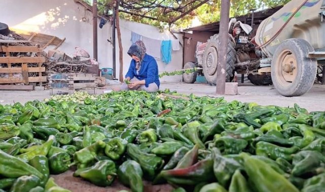 Sarıgöl'de kışlık yiyecek hazırlığına başlandı