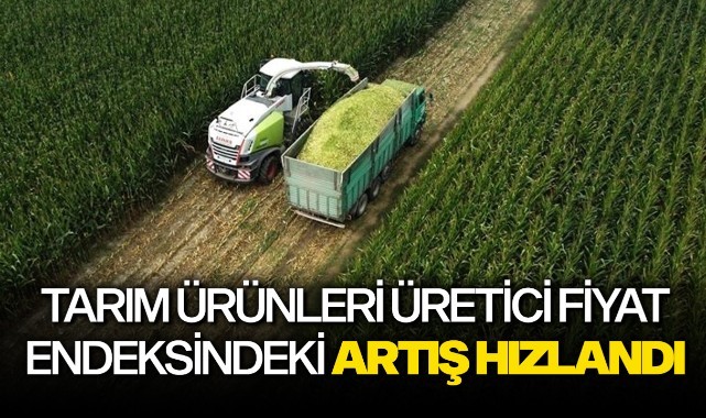 Tarım ürünleri üretici fiyat endeksindeki artış hızlandı
