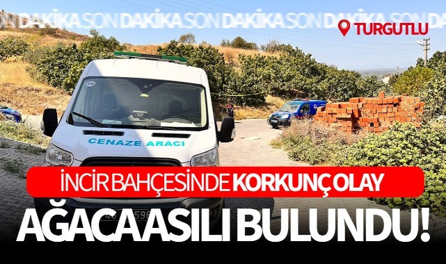 Turgutlu'da incir bahçesinde korkunç olay Ağaca asılı halde bulundu!