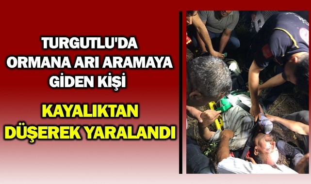 Ormana arı aramak için gitti, kayalıktan düşerek yaralandı