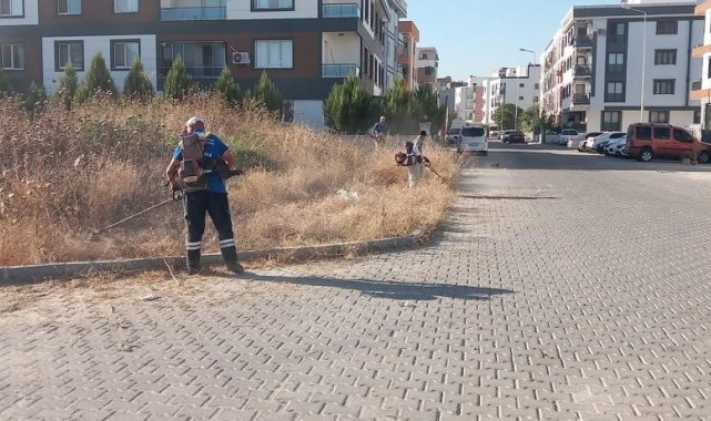 Yangın riskine karşı otlar belediye ekiplerince biçiliyor