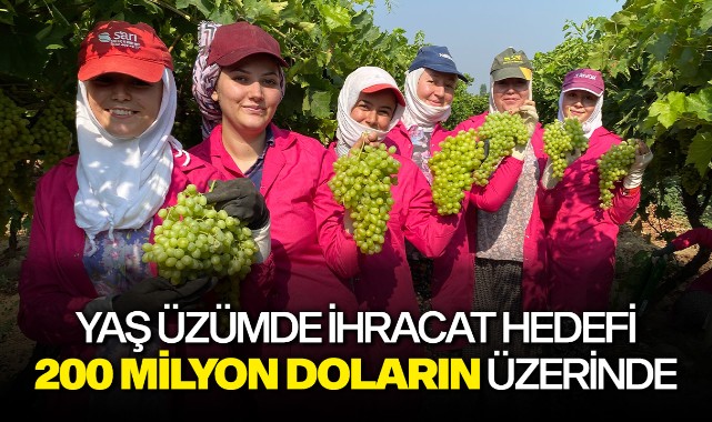Yaş üzümde ihracat hedefi 200 milyon doların üzerinde