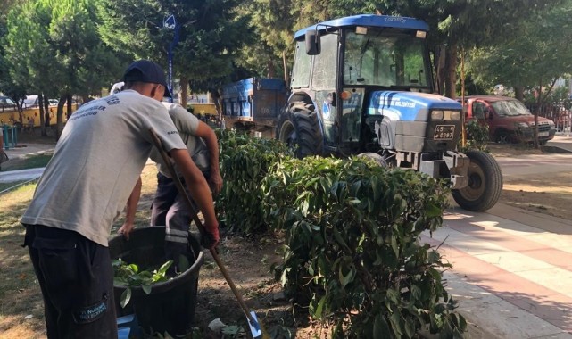 Yunusemre Belediyesinden Yenimahalle'de park bakımı