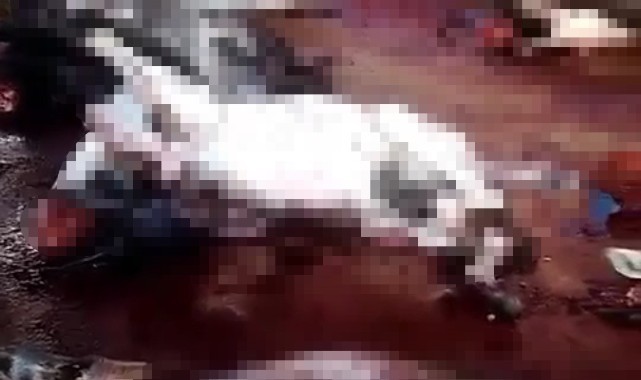 Adana Valiliğinden kesilen 12 eşek ile 6 ata ilişkin açıklama