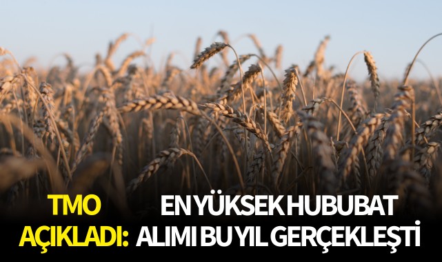 TMO açıkladı: En yüksek hububat alımı bu yıl gerçekleşti