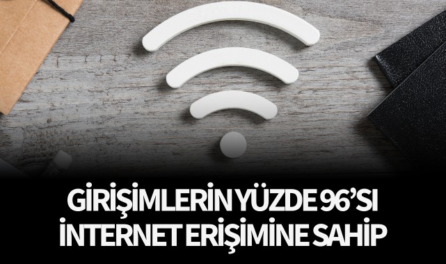 Girişimlerin yüzde 96’sı internet erişimine sahip