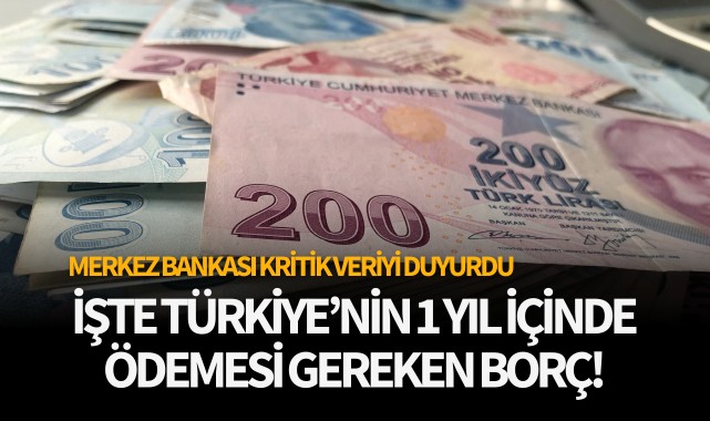 İşte Türkiye'nin 1 yıl içinde ödemesi gereken borç!