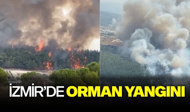 İzmir'de orman yangını