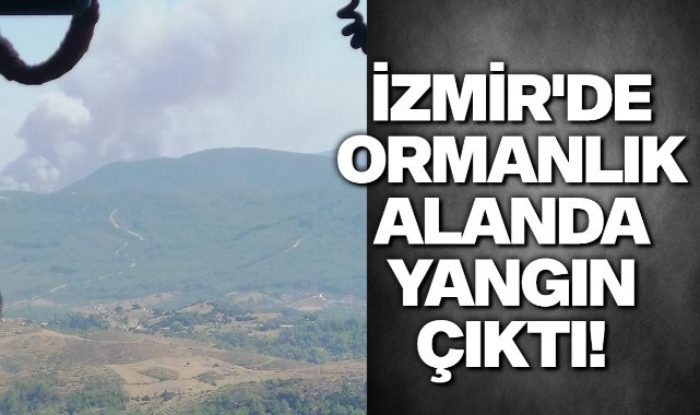 İzmir'de ormanlık alanda yangın