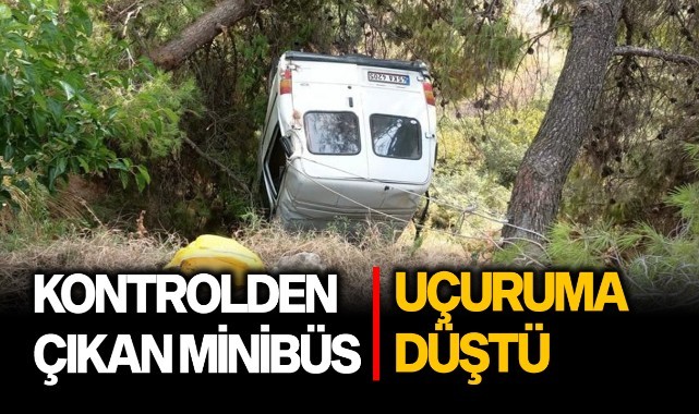 Kontrolden çıkan minibüs uçuruma düştü