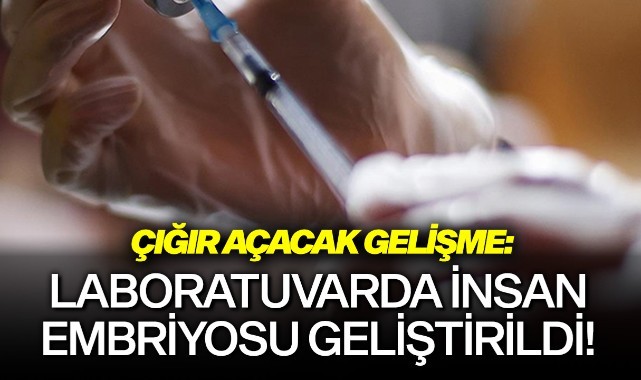 Laboratuvarda insan embriyosu geliştirildi!