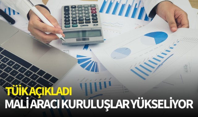 Mali aracı kuruluşlar yükseliyor 