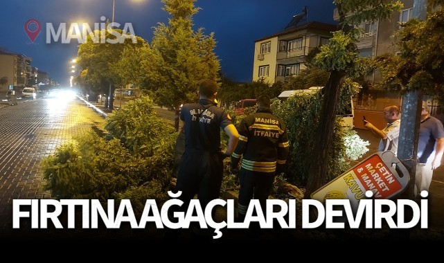 Manisa’da fırtına ağaçları devirdi