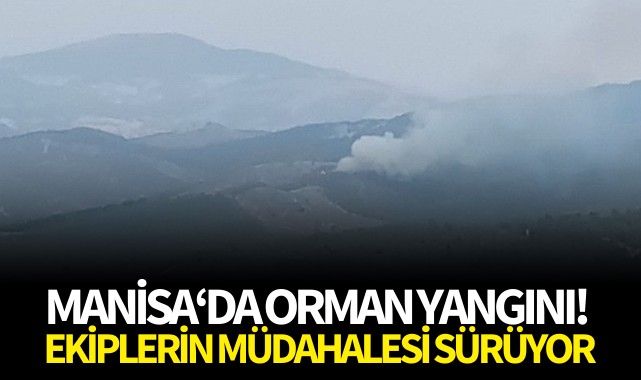 Manisa'da orman yangını!