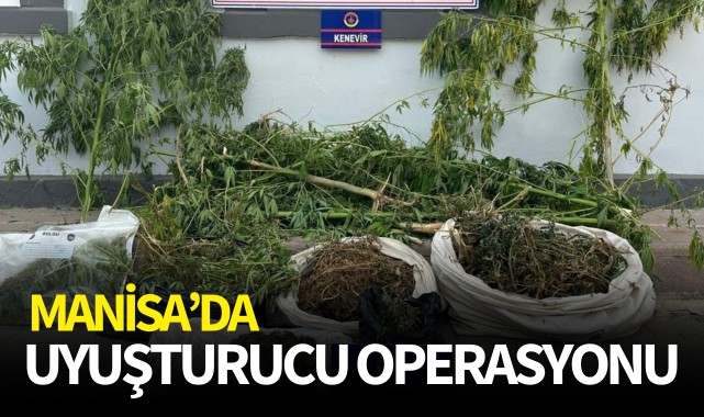 Manisa'da uyuşturucu operasyonu
