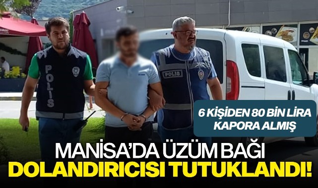 Manisa'da üzüm bağı dolandırıcısı tutuklandı!