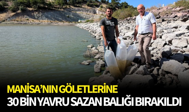 Manisa’nın göletlerine 30 bin yavru sazan balığı bırakıldı