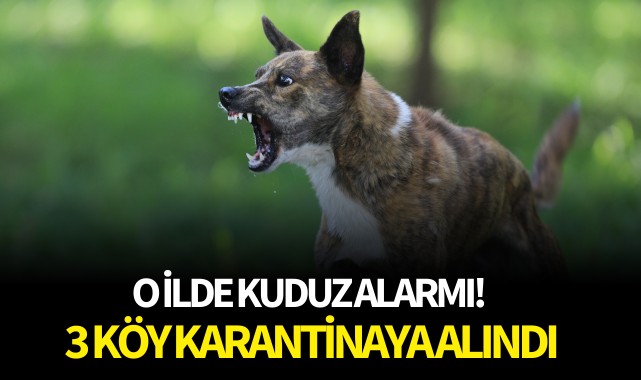 O ilde kuduz alarmı! 3 köy karantinaya alındı