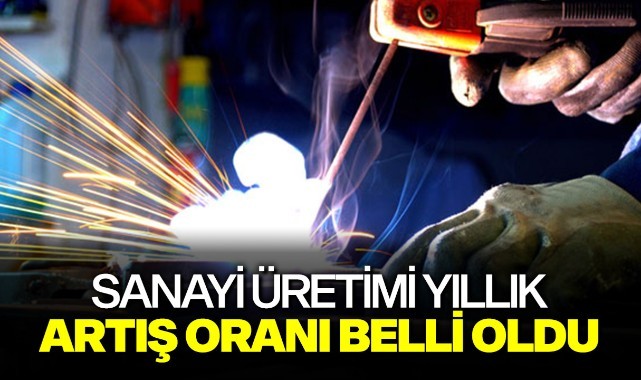 Sanayi üretimi yıllık artış oranı belli oldu