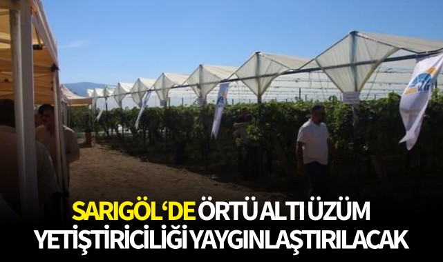  Sarıgöl'de örtü altı üzüm yetiştiriciliği yaygınlaştırılacak