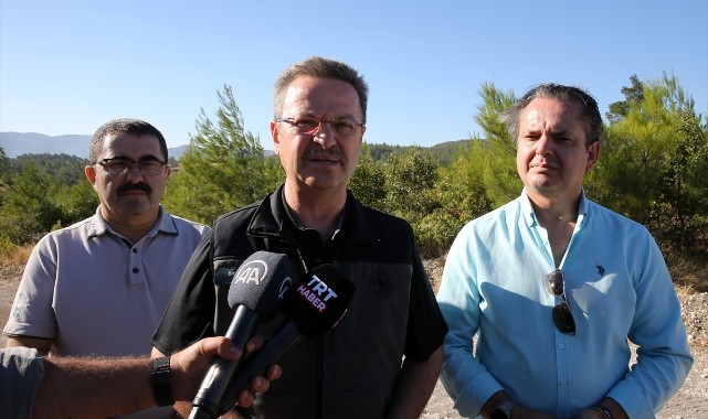 Soma'daki orman yangını kısmen kontrol altında