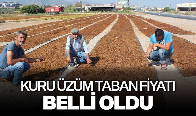 Tariş kuru üzüm taban fiyatını açıkladı