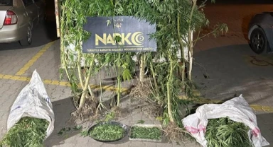 Turgutlu'da narkotikten uyuşturucu tacirlerine geçit yok: 9 tutuklama!