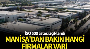 Türkiye'nin en büyük sanayi kuruluşları açıklandı: Manisa'dan bakın hangi firmalar var!