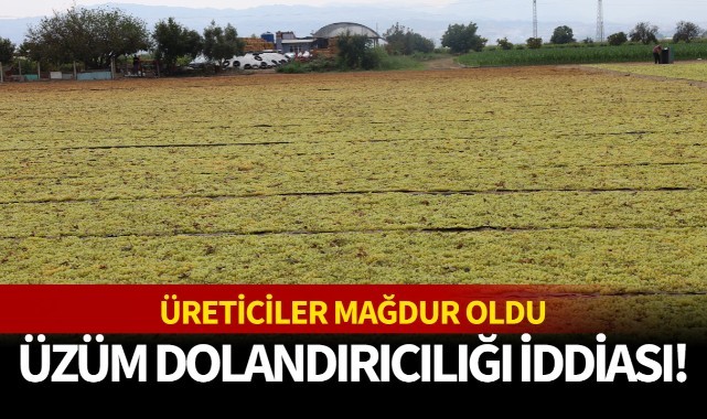 Üzüm dolandırıcılığı iddiası!