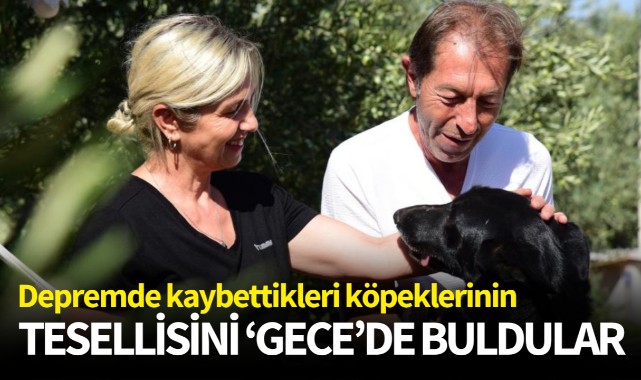 Depremde kaybettikleri köpeklerinin tesellisini ‘Gece’de buldular