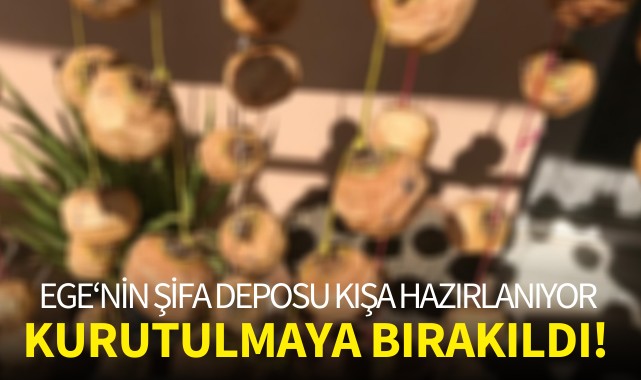 Ege'nin şifa deposu kışa hazırlanıyor