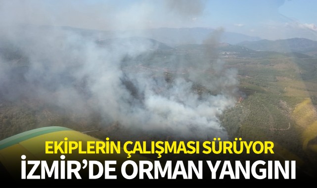 İzmir'de orman yangını! 