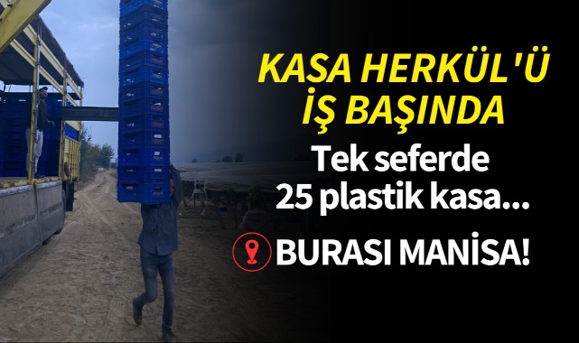 Kasa Herkül'ü iş başında