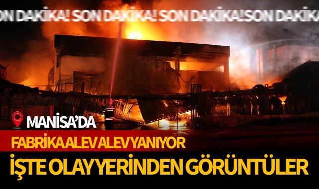 Kauçuk fabrikası alev alev yanıyor! İşte olay yerinden son görüntüler