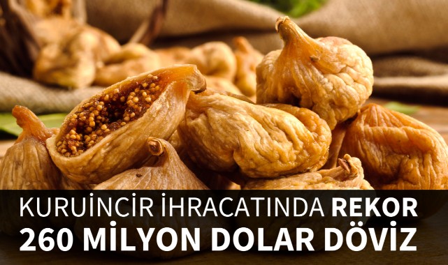 Kuru incir ihracatında rekor