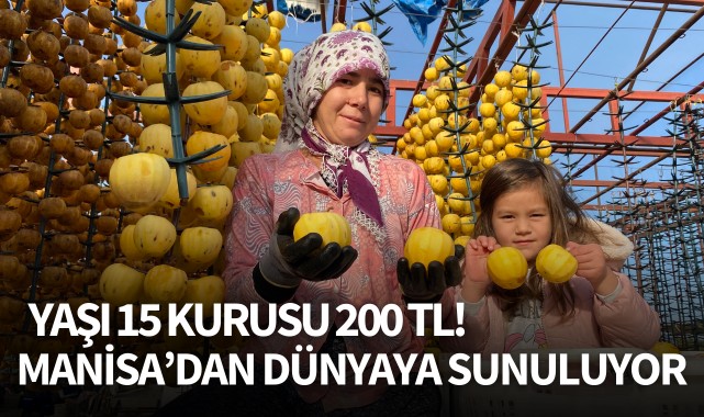 Manisa'dan dünyaya sunuluyor