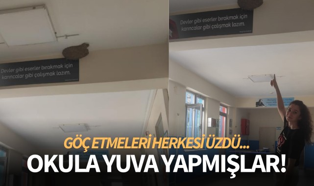 Okula yuva yapmışlardı! Göç etmeleri herkesi üzdü...