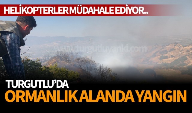 Turgutlu'da ormanlık alanda yangın