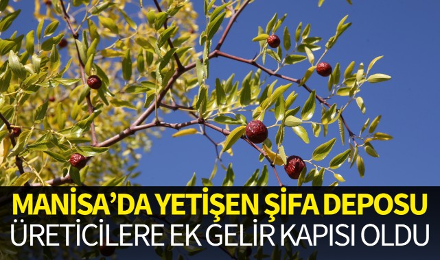Üreticilere ek gelir kapısı oldu!