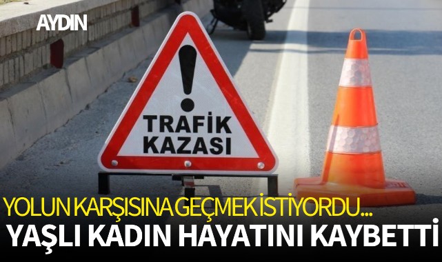 Yolun karşısına geçmek istiyordu... Yaşlı kadın hayatını kaybetti