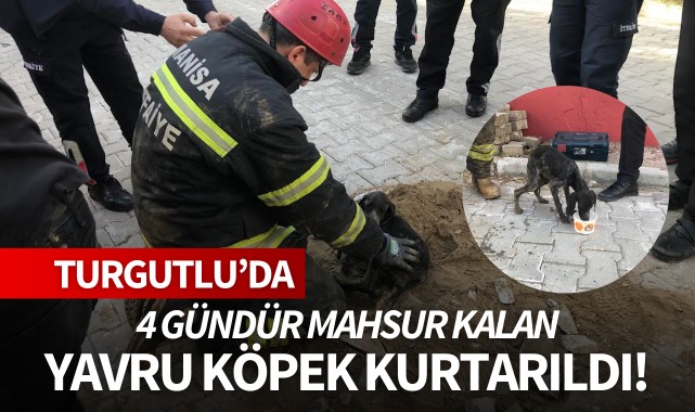4 gündür mahsur kalan yavru köpek kurtarıldı!