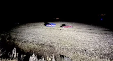 Ardahan'da fil görüldü iddiası ortalığı karıştırdı