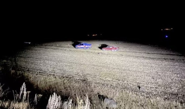 Ardahan'da fil görüldü iddiası ortalığı karıştırdı