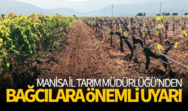 Manisa İl Tarım Müdürlüğünden Bağcılara Uyarı!