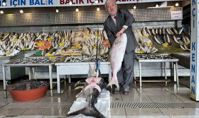 Denizlerde balık bolluğu yaşanıyor