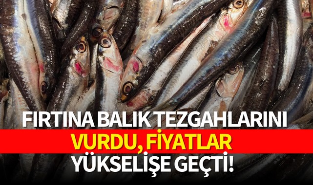 Fırtına balık tezgahlarını vurdu, fiyatlar yükselişe geçti!