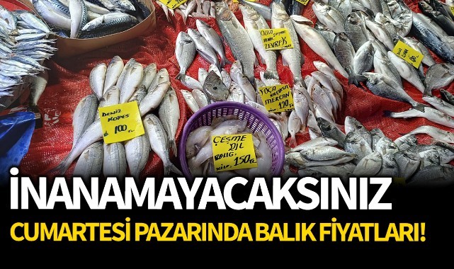 İnanamayacaksınız, Cumartesi pazarında balık fiyatları!